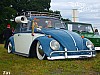 Bug-in II (143).JPG