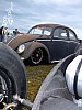 Bug-in II (155).JPG