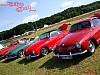 Bug-in II (321).JPG