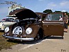 Bug-in II (357).JPG